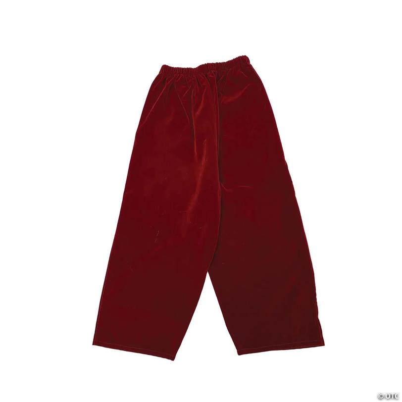 Adults Burgundy Velvet Santa Pants - 3XL Image