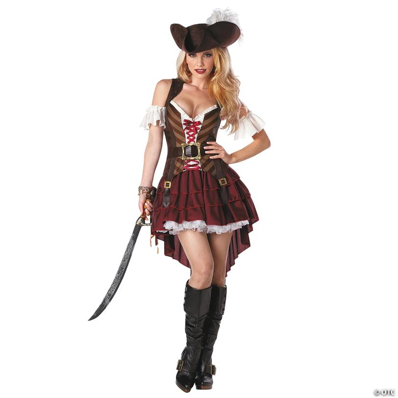 Women&amp;#8217;s Plus Size Swashbuckler Costume - XXL Image