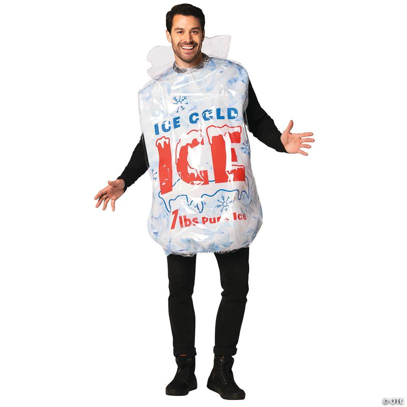 Adults Packaged Ice Bag Costume Image