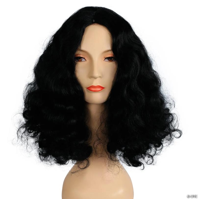 Adults Deluxe Long-Haired Full Afro Wig - Black 1 Image