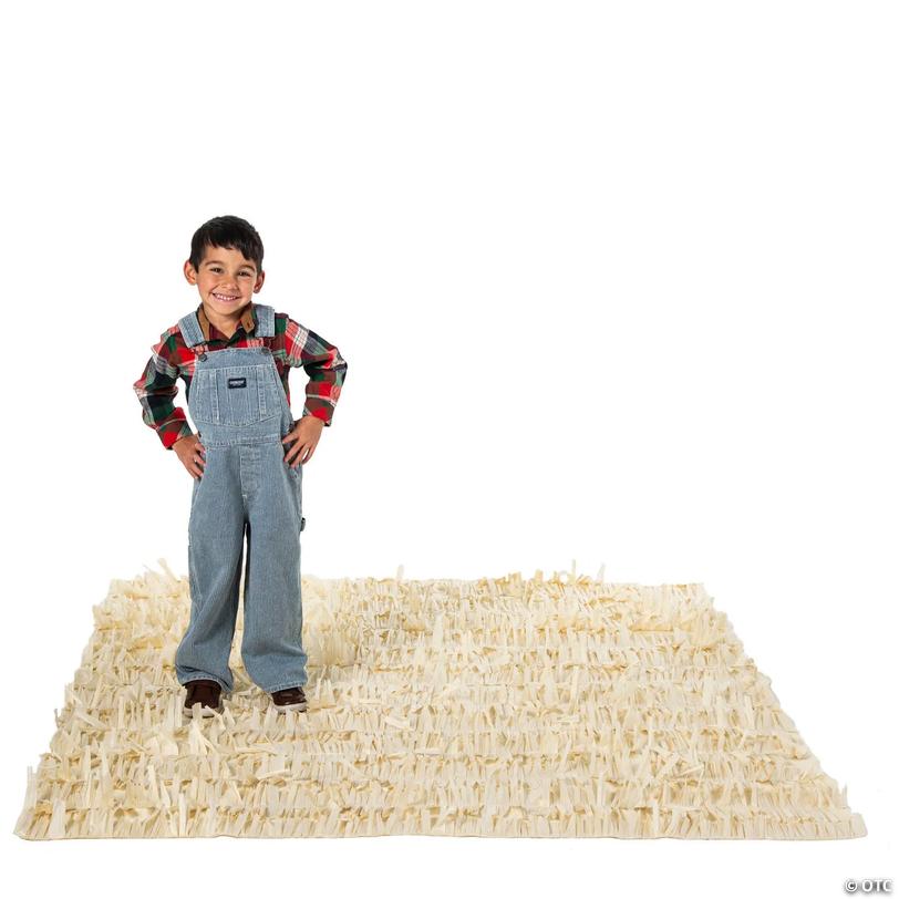 Faux Hay Raffia Woven Polyester Floor Cover Image
