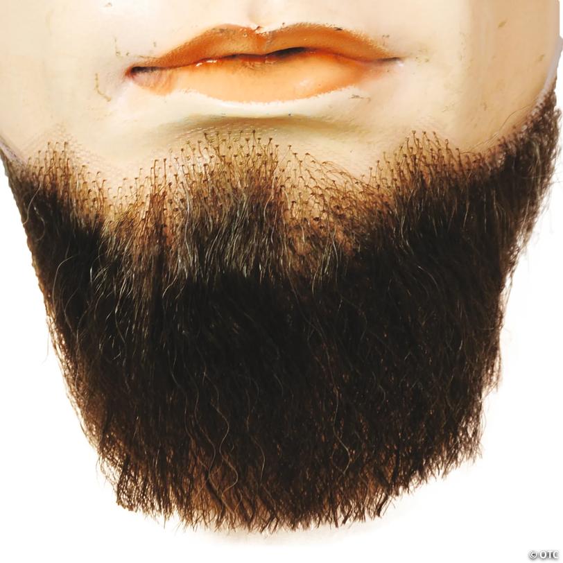 Adults Long 5-Point Synthetic Beard Image
