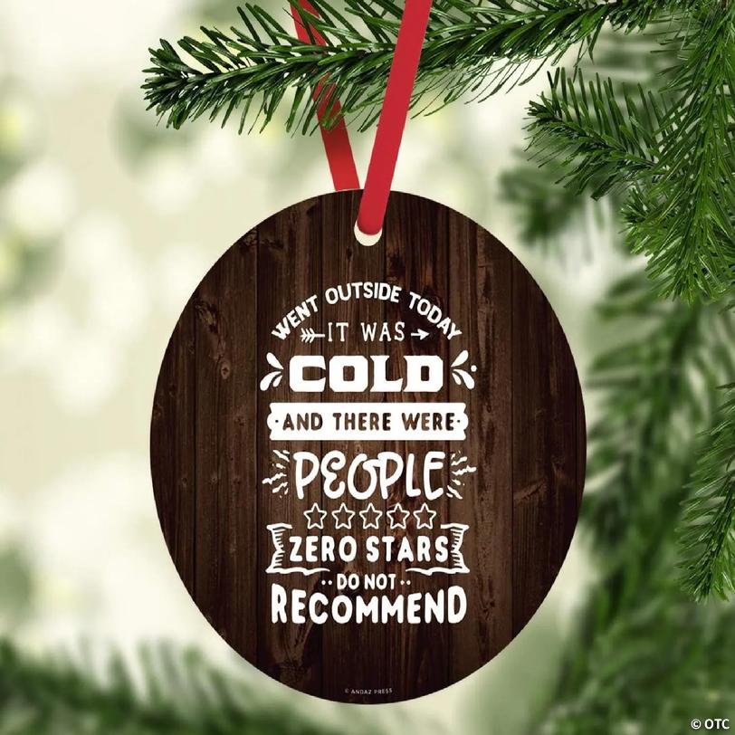 MDF Ornament Went Outside Today It Was | Oriental Trading