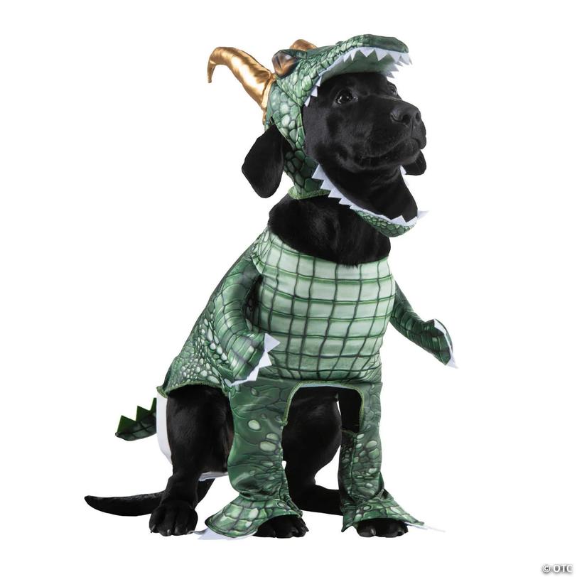 Loki Pet Classic Costume - X Large Image