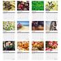 Select Thumbnail 2