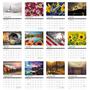 Select Thumbnail 2