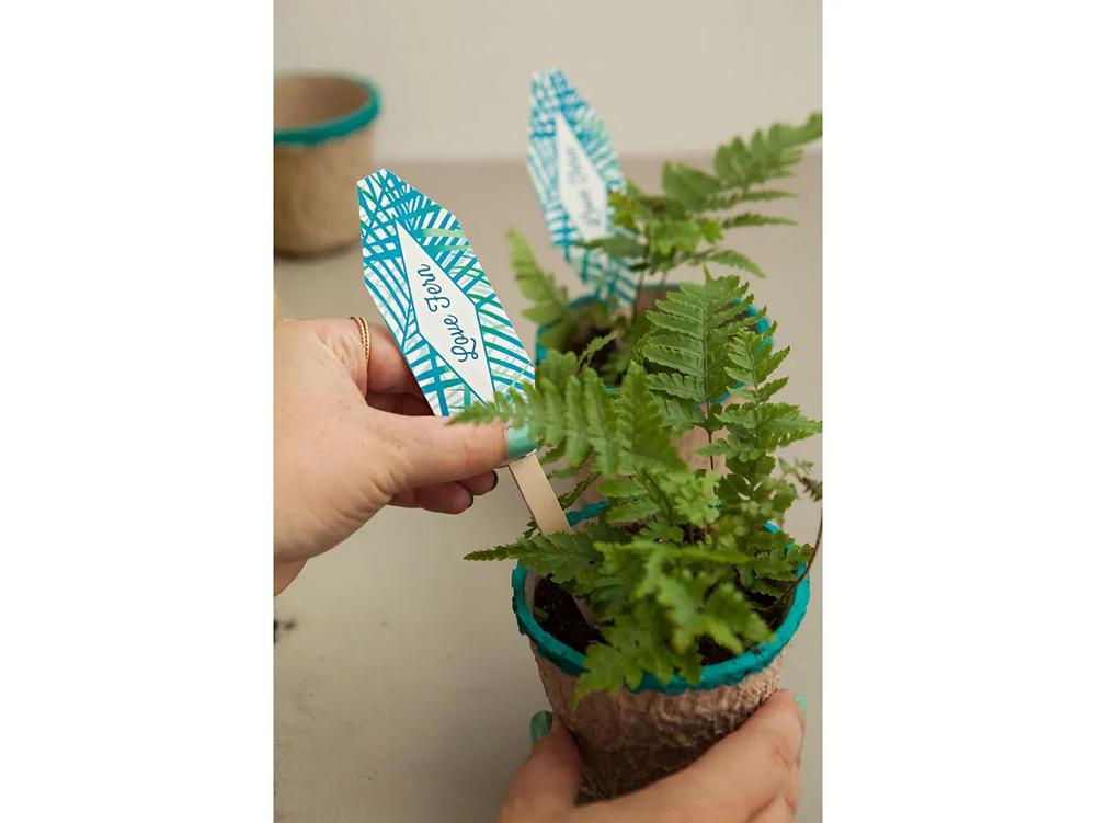 DIY Love Fern Boho Wedding Favor step 4 part 1