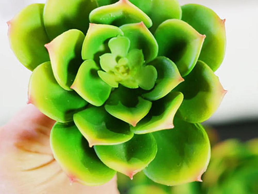 DIY Pantone Color of the Year - Greenery Wedding Centerpiece step 5 part 3