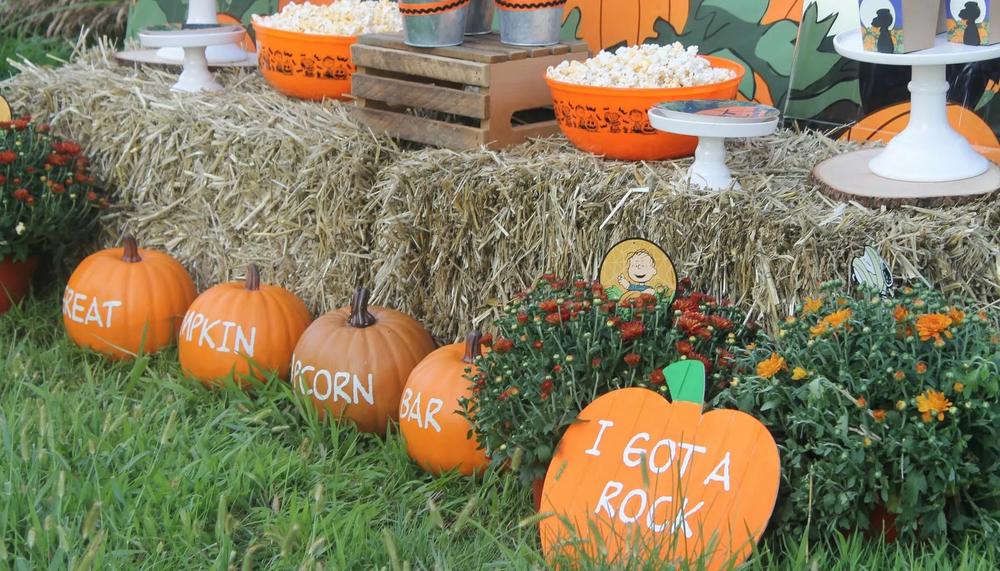 It's the Great Pumpkin Charlie Brown Outdoor Movie Party