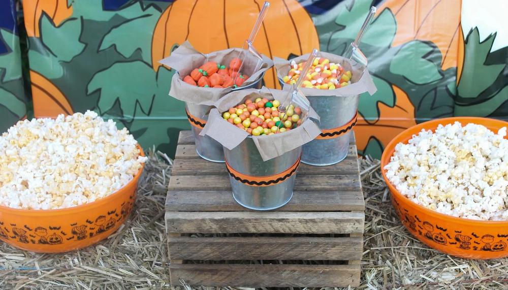 It's the Great Pumpkin Charlie Brown Outdoor Movie Party