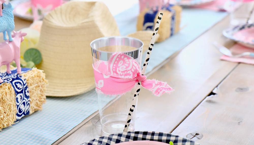 cowboy-or-cowgirl-gender-reveal-party