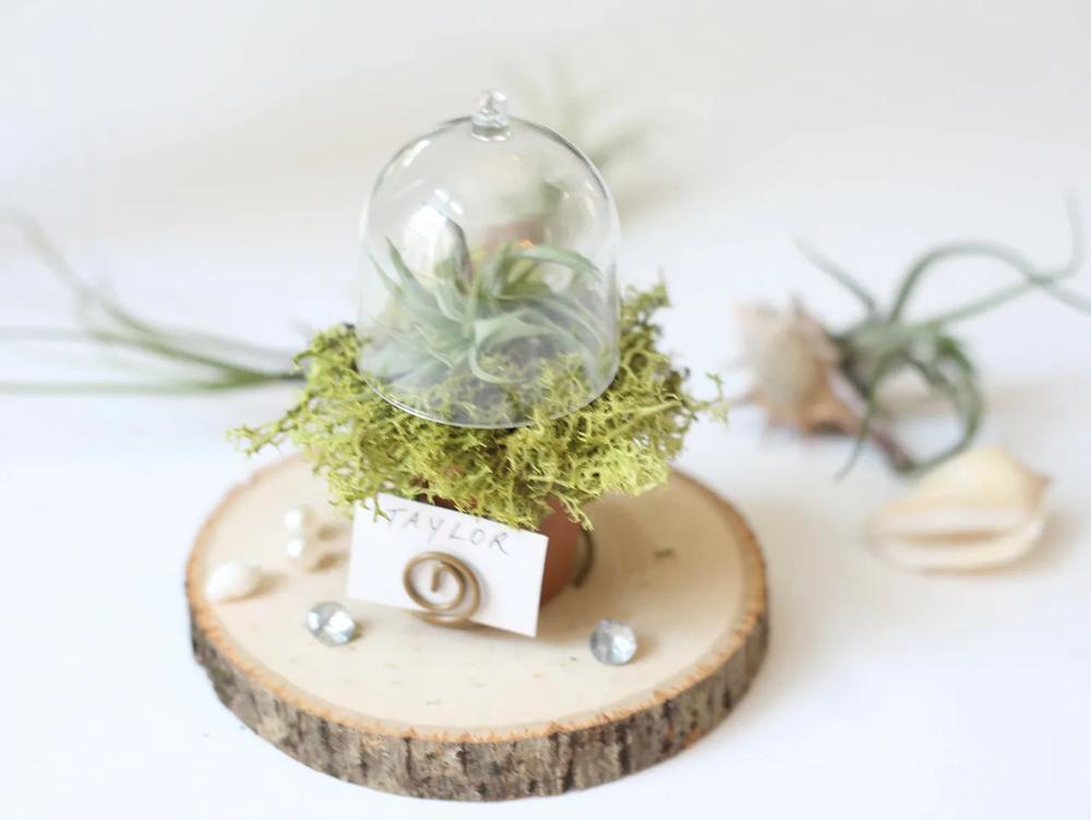 Elegant Plant Terrarium Place Card step 7 part 1
