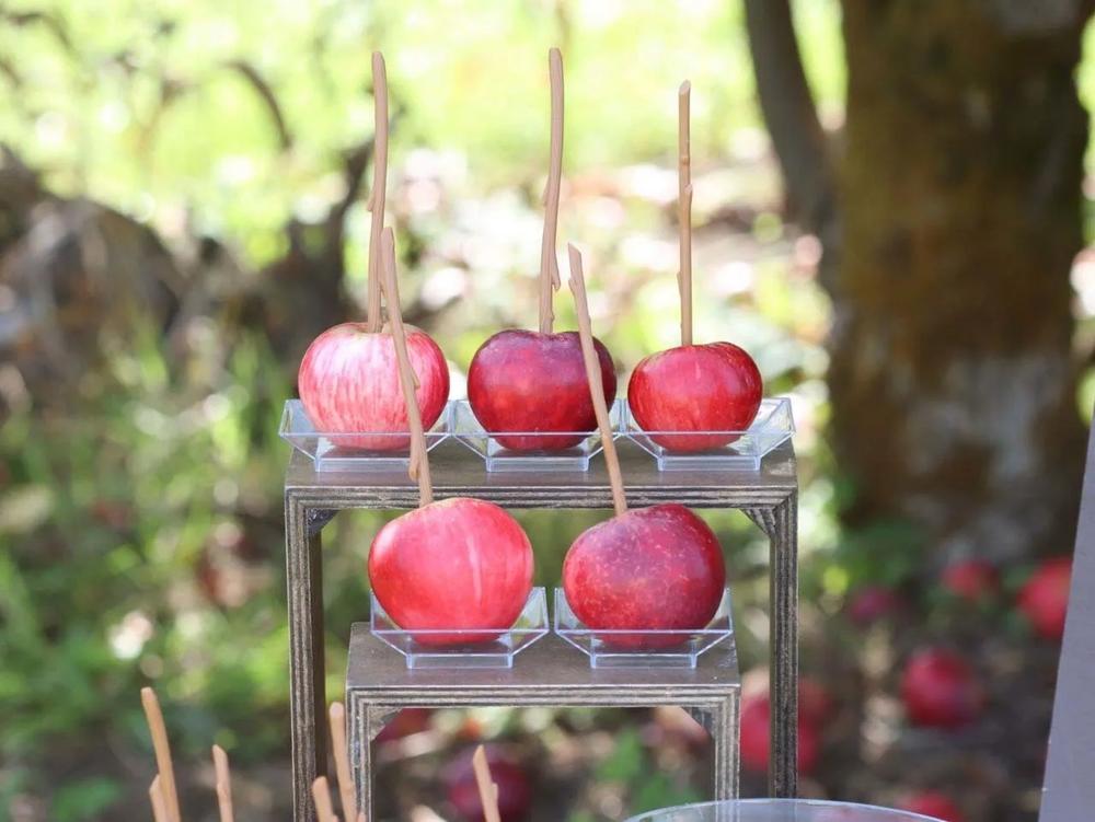 Caramel Apple Dipping Station step 8 part 2