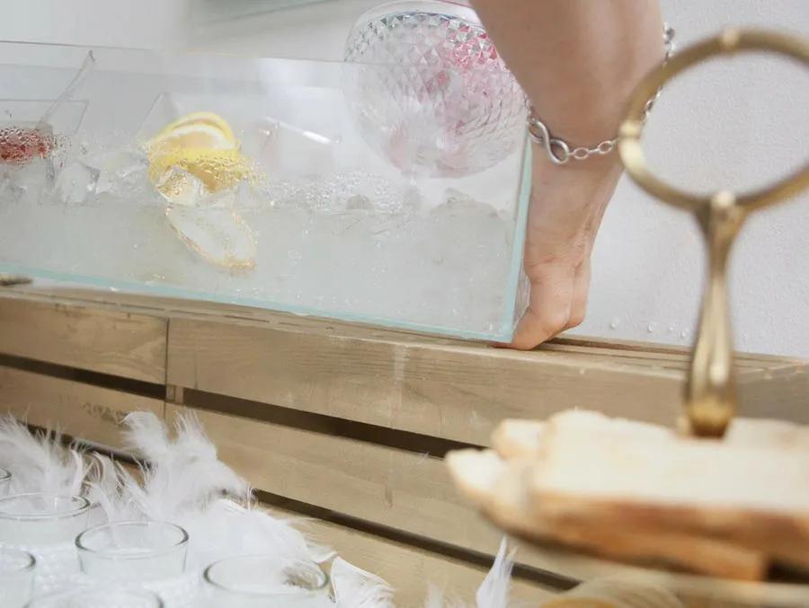 Create Your Own Vodka & Caviar Tasting Bar step 1 part 1
