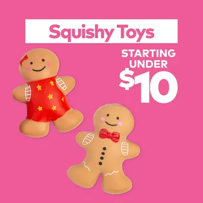 Squishy Toys