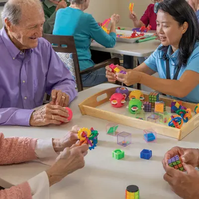 Cognitive & Memory Therapy