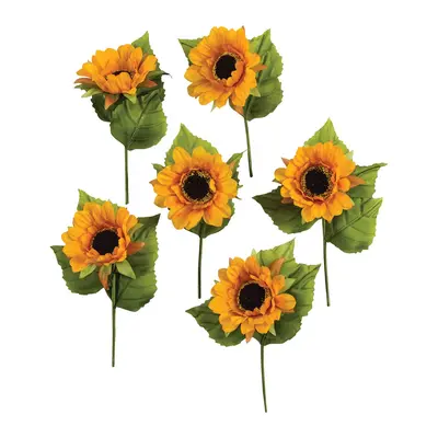 Floral Supplies