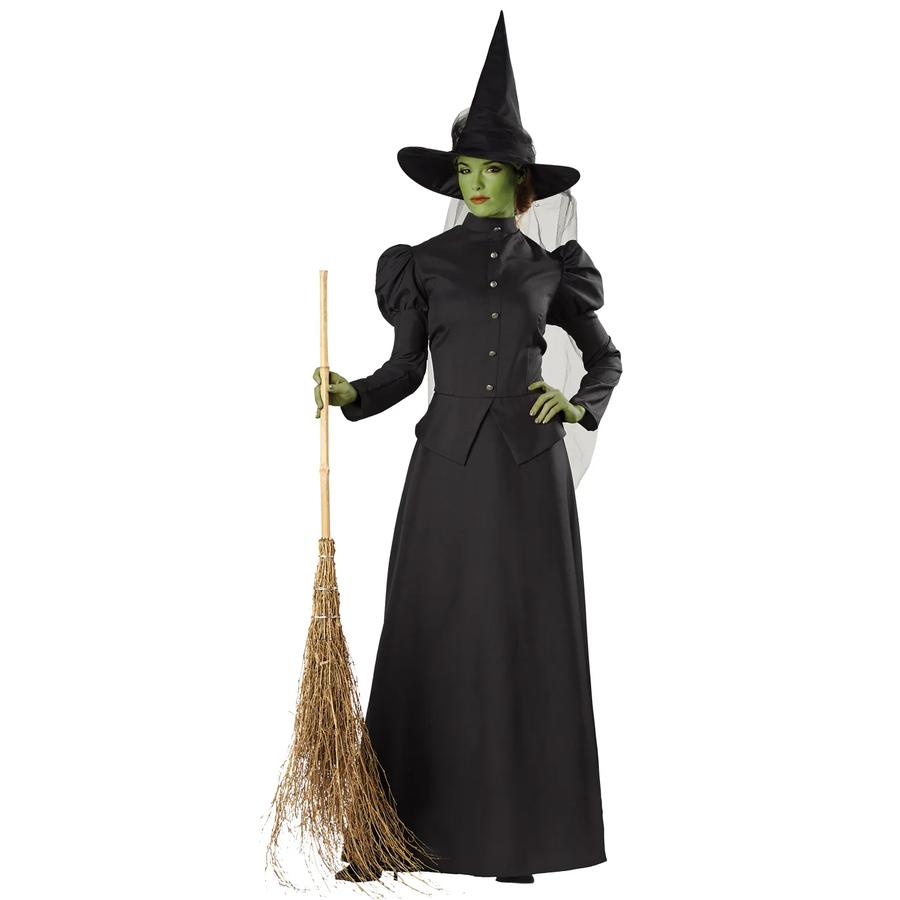 Plus Size Classic Deluxe Witch Costume | Oriental Trading